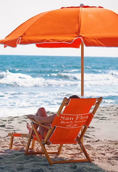 San Flea Beach Service