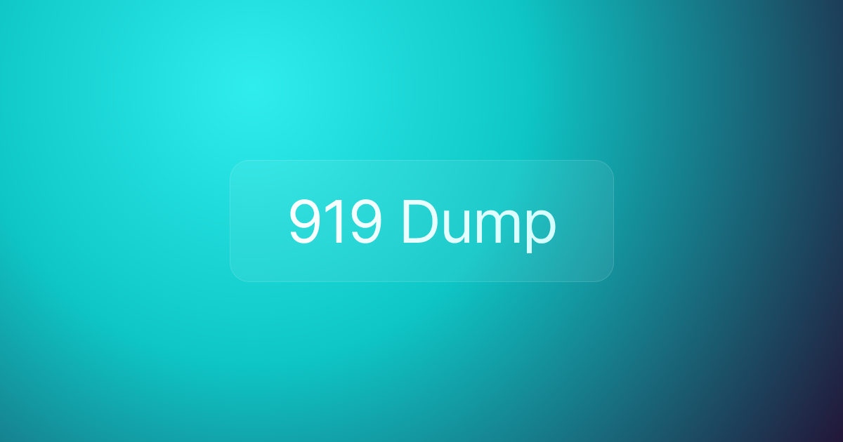 919 Dump