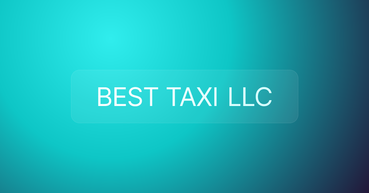BEST TAXI LLC