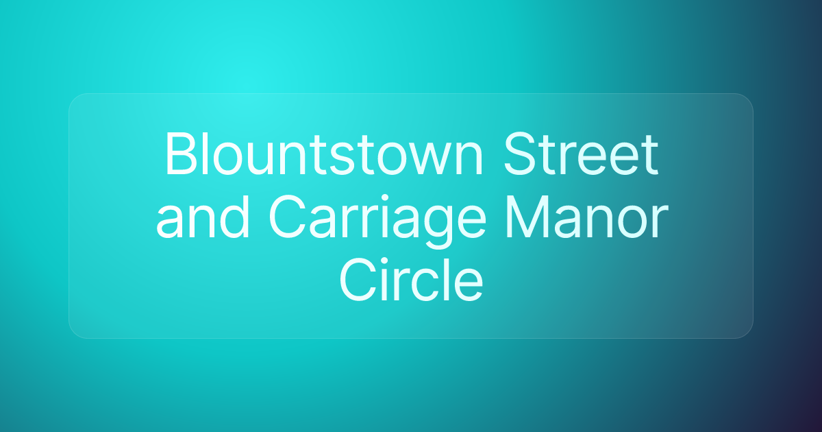 Blountstown Street and Carriage Manor Circle