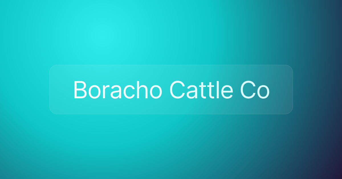 Boracho Cattle Co