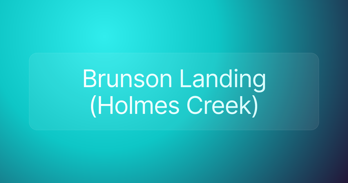Brunson Landing (Holmes Creek)