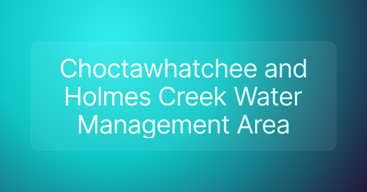 Choctawhatchee and Holmes Creek Water Management Area