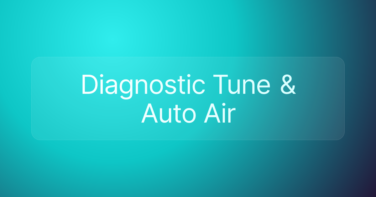 Diagnostic Tune & Auto Air
