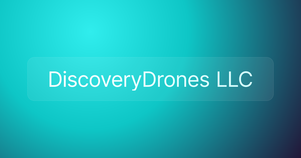 DiscoveryDrones LLC