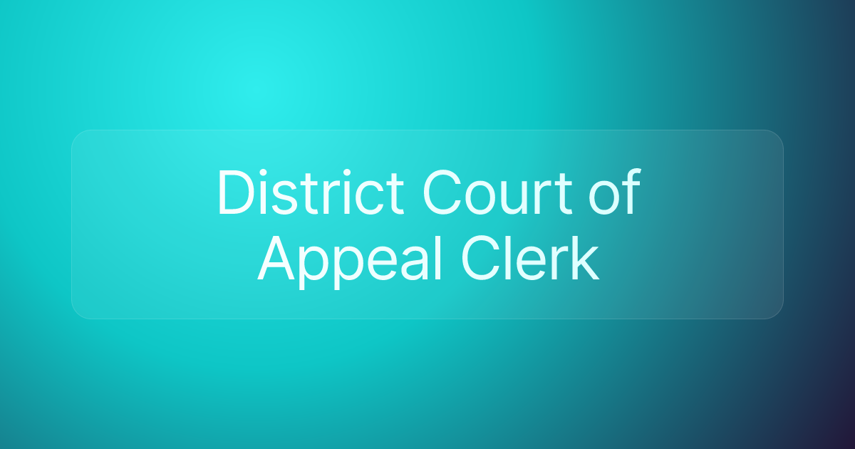 District Court of Appeal Clerk