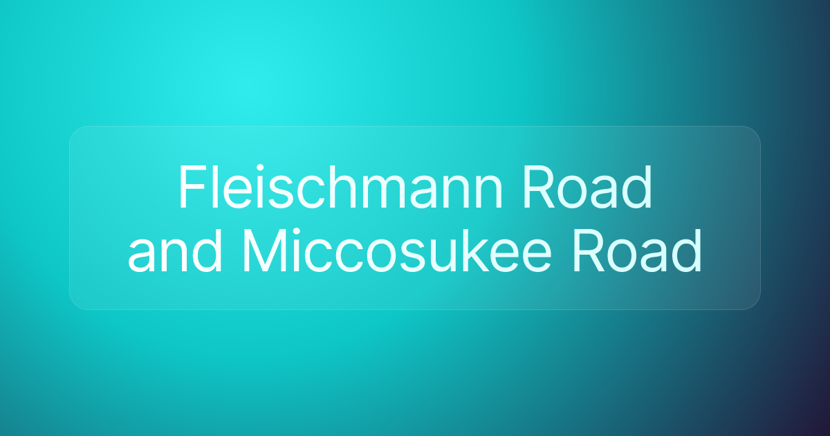 Fleischmann Road and Miccosukee Road