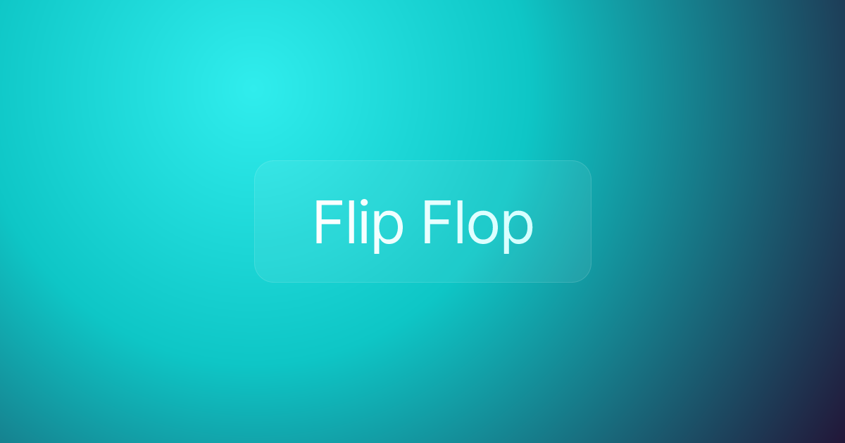 Flip Flop