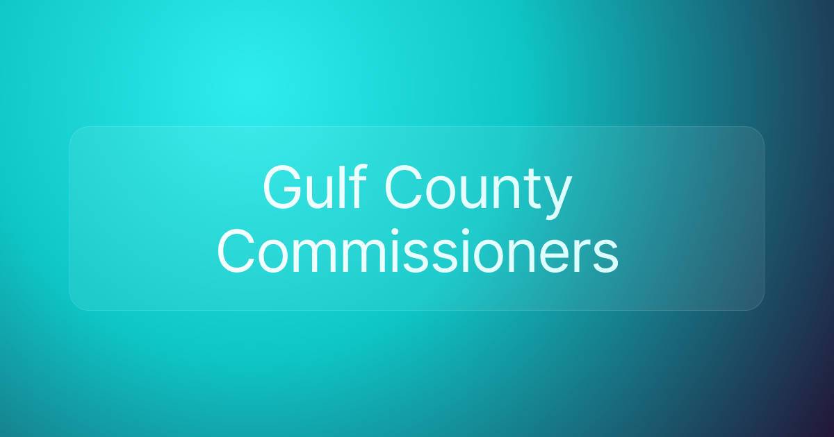 Gulf County Commissioners
