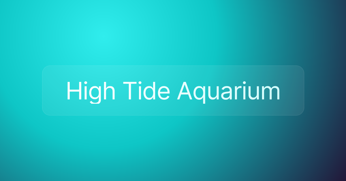High Tide Aquarium