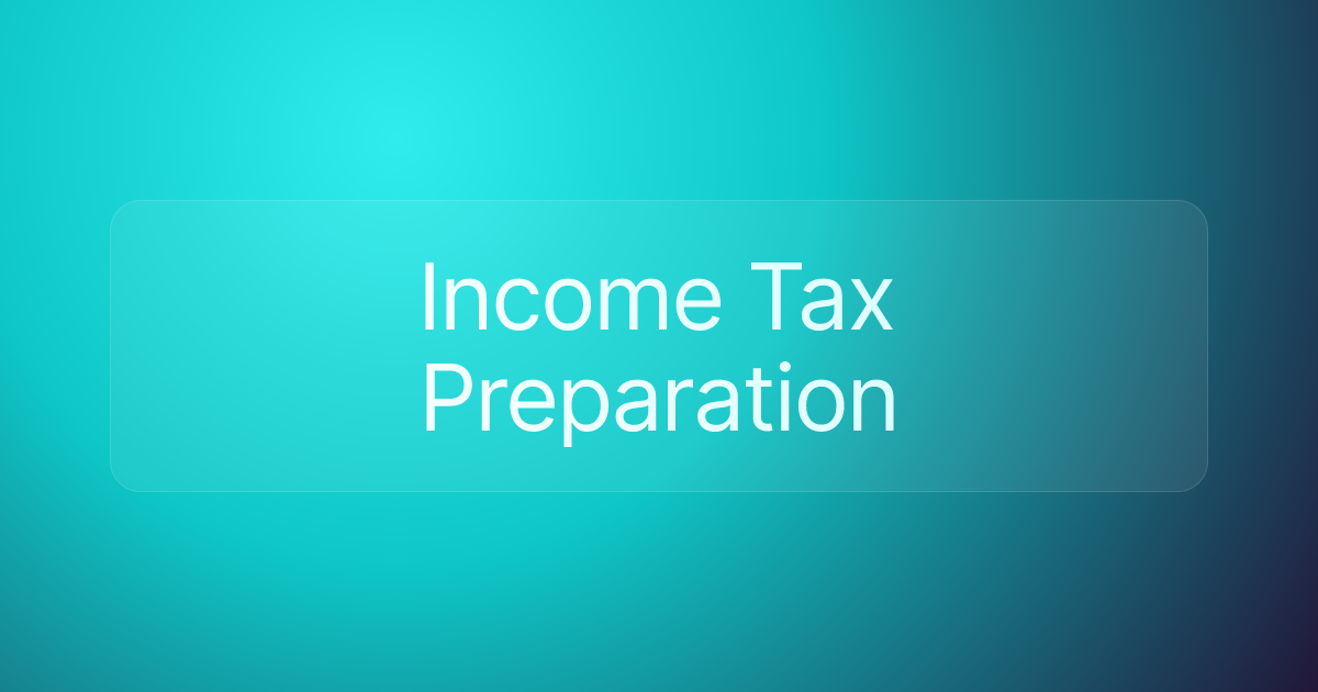 Income Tax Preparation