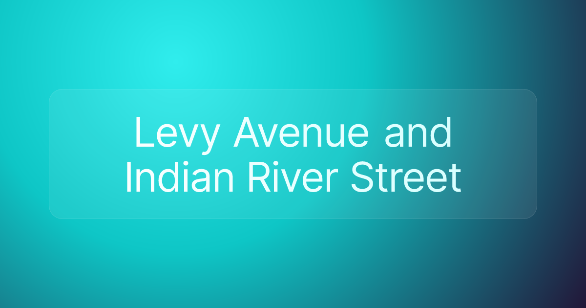 Levy Avenue and Indian River Street