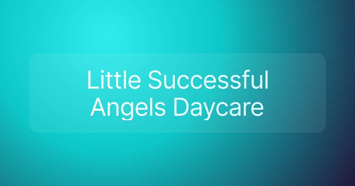 Little Successful Angels Daycare