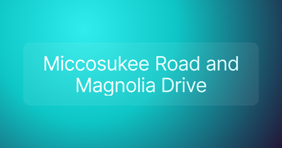 Miccosukee Road and Magnolia Drive