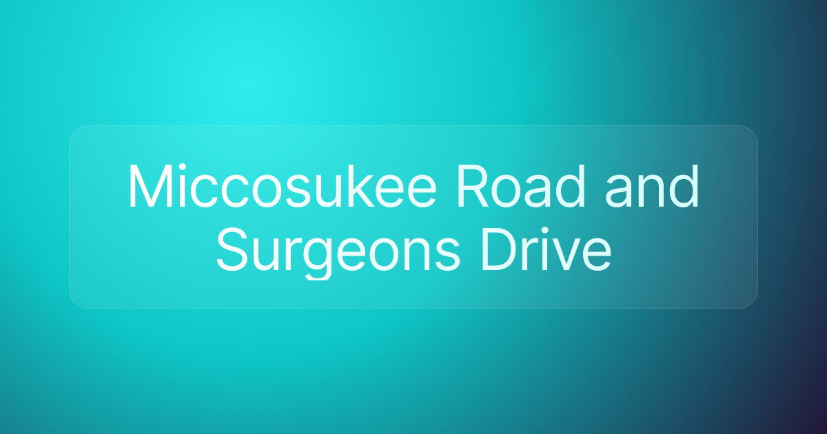 Miccosukee Road and Surgeons Drive