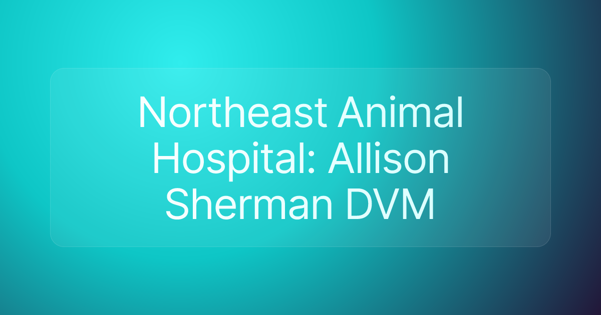 Northeast Animal Hospital: Allison Sherman DVM