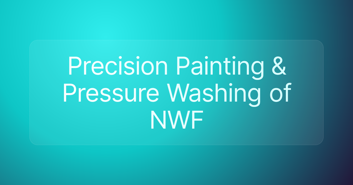 Precision Painting & Pressure Washing of NWF