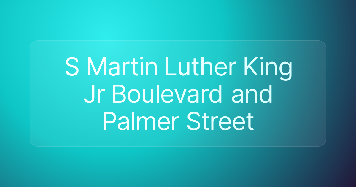 S Martin Luther King Jr Boulevard and Palmer Street