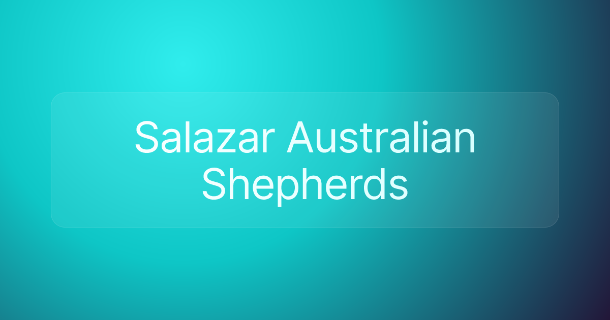 Salazar Australian Shepherds