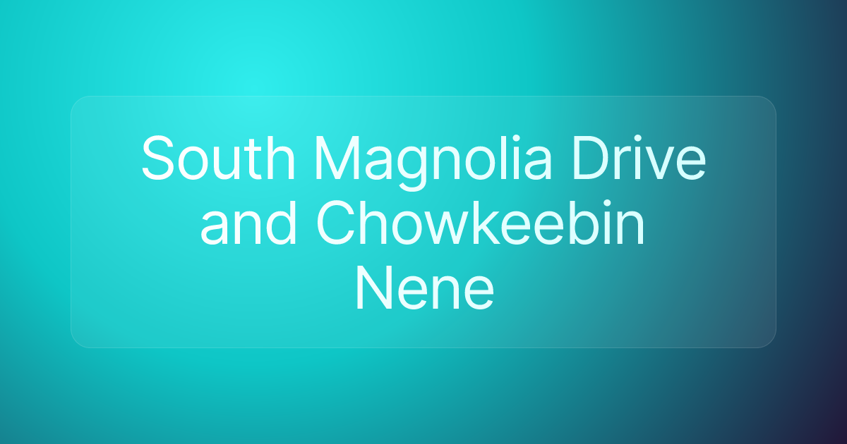 South Magnolia Drive and Chowkeebin Nene