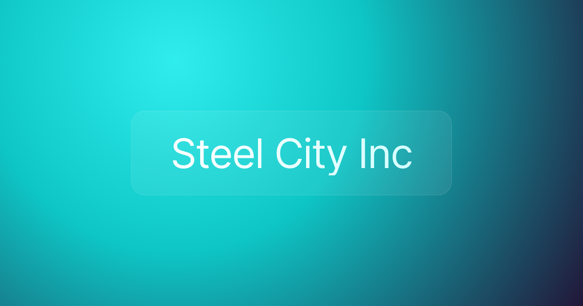 Steel City Inc