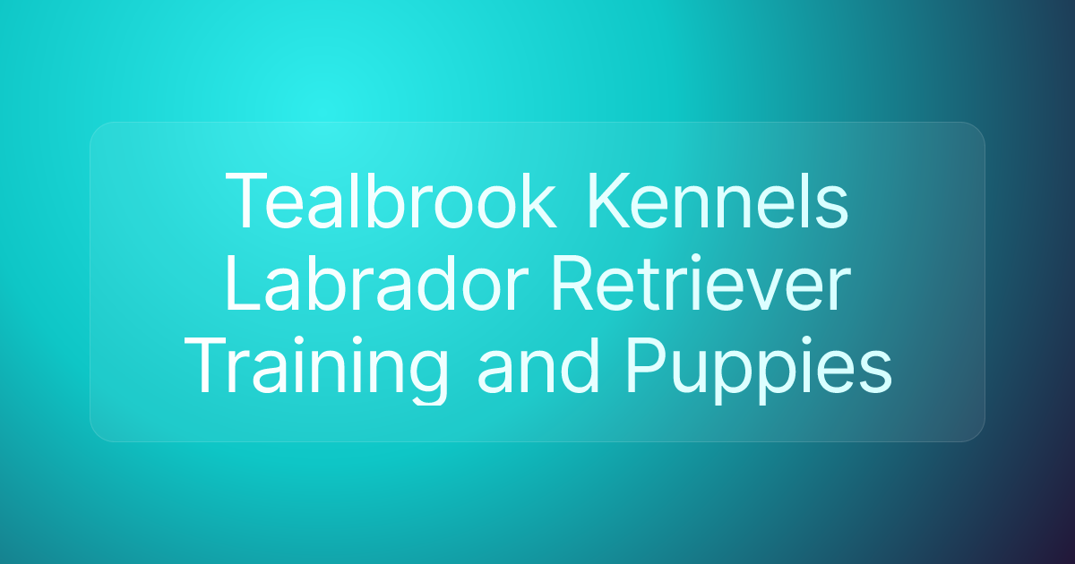 Tealbrook Kennels Labrador Retriever Training and Puppies