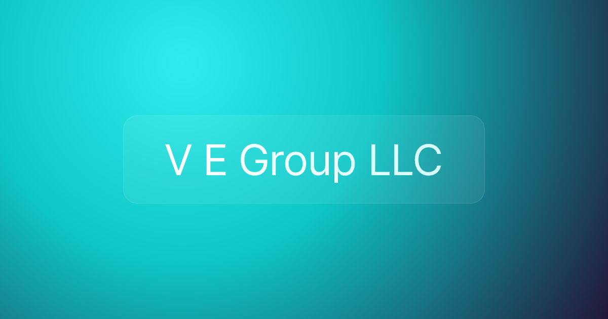 V E Group LLC