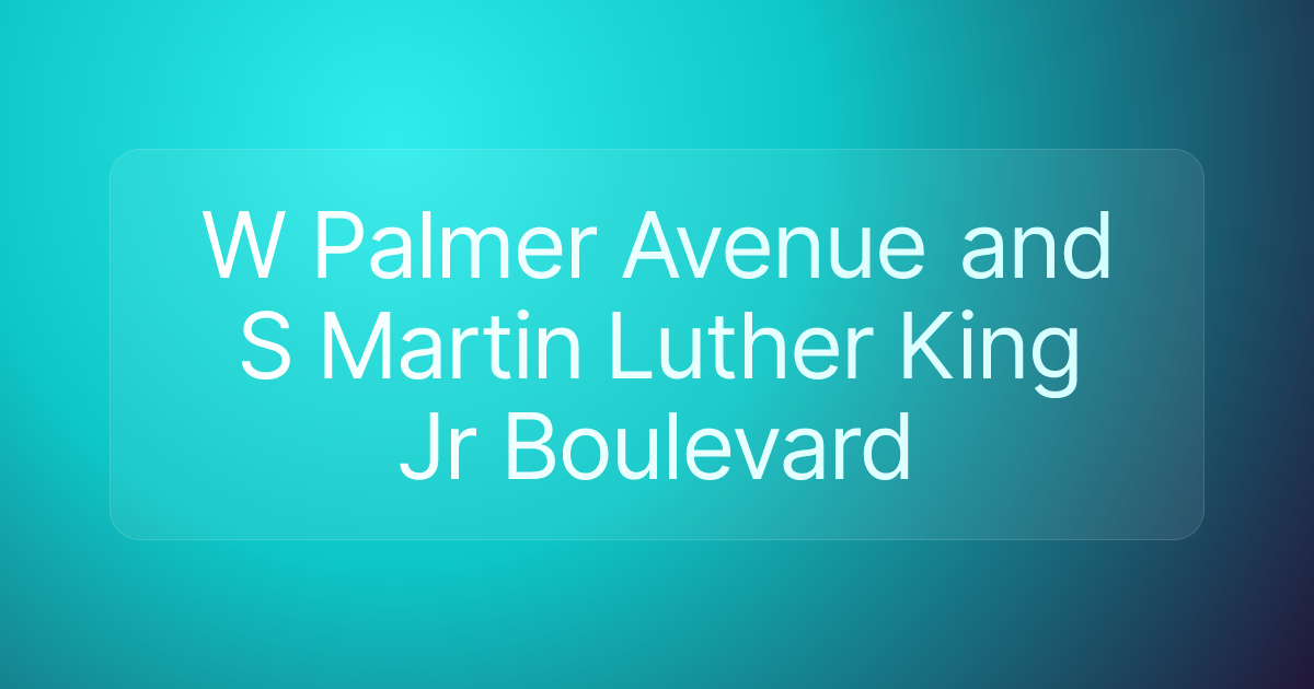 W Palmer Avenue and S Martin Luther King Jr Boulevard