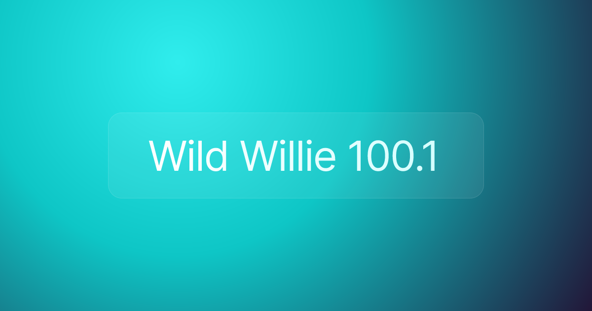 Wild Willie 100.1